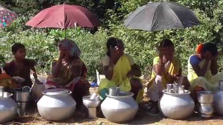 కాడు పార్చీనఇ